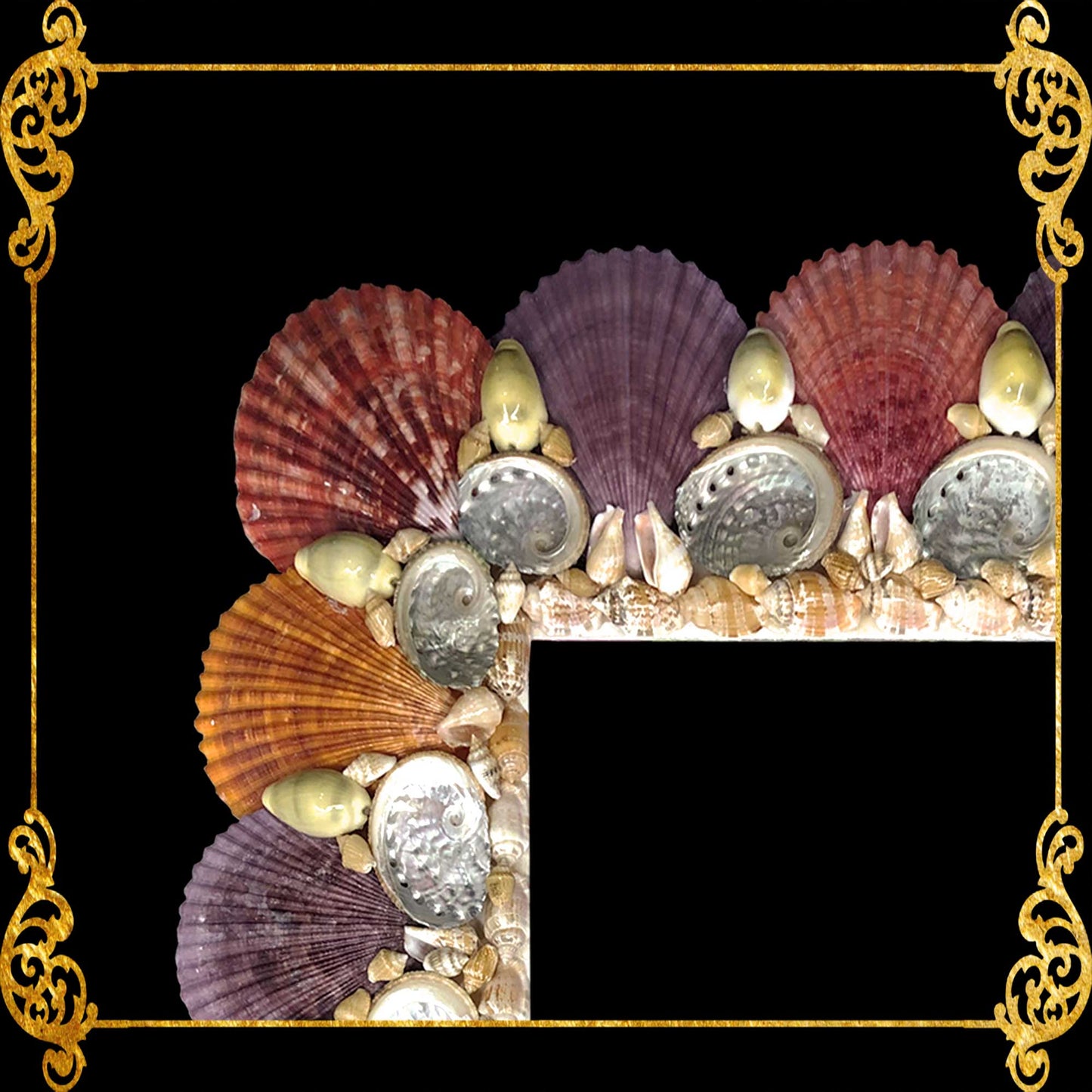 Seashell Picture Frame Pecten