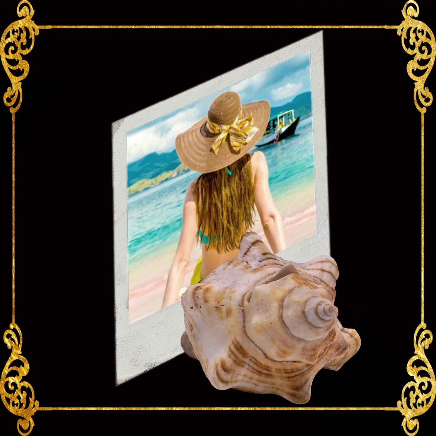 Calling Card Holder | Picture Holder | Fasciolara Shells