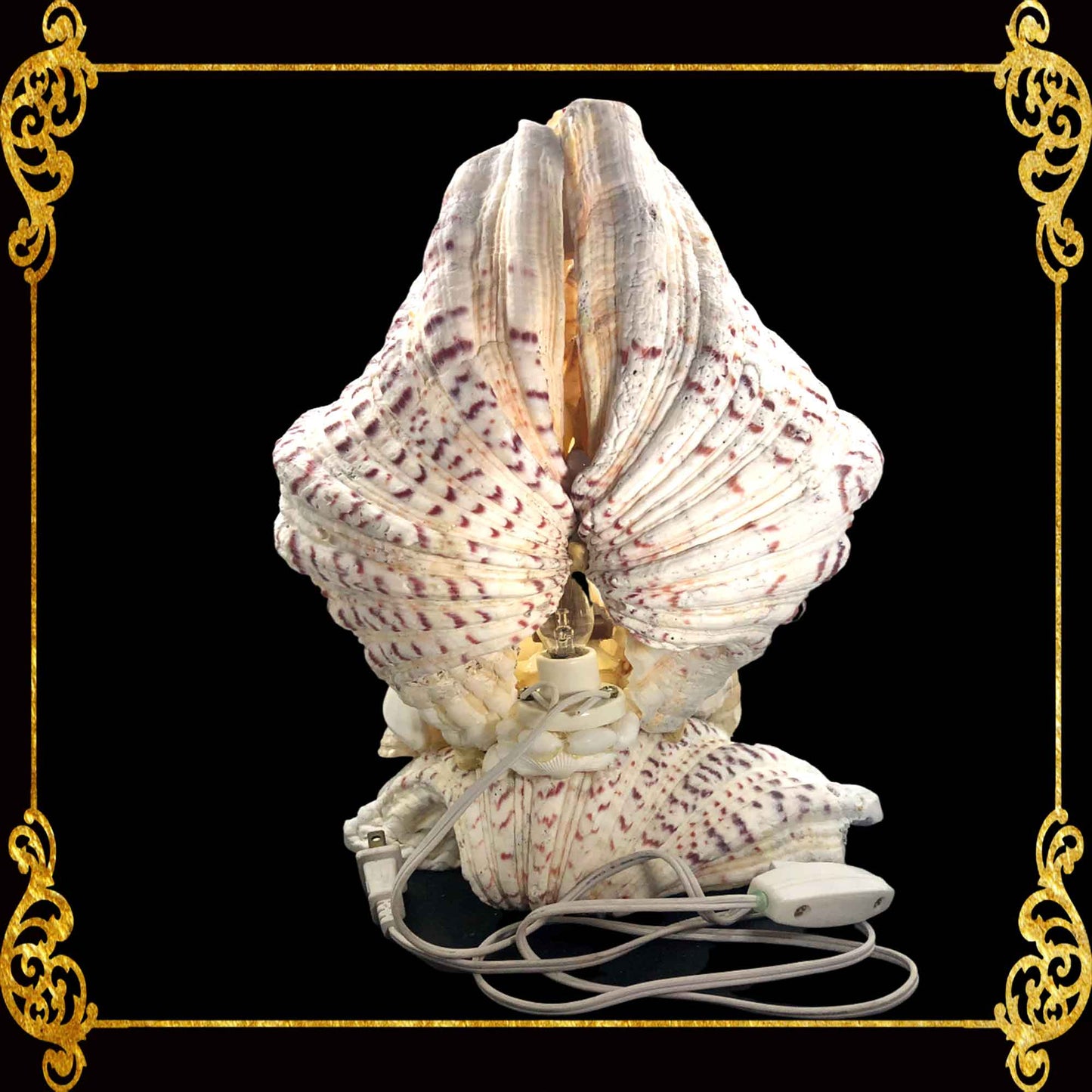 Lamp | Christian Decor | Jesus in Crucifix inside Clams | 10 Inches