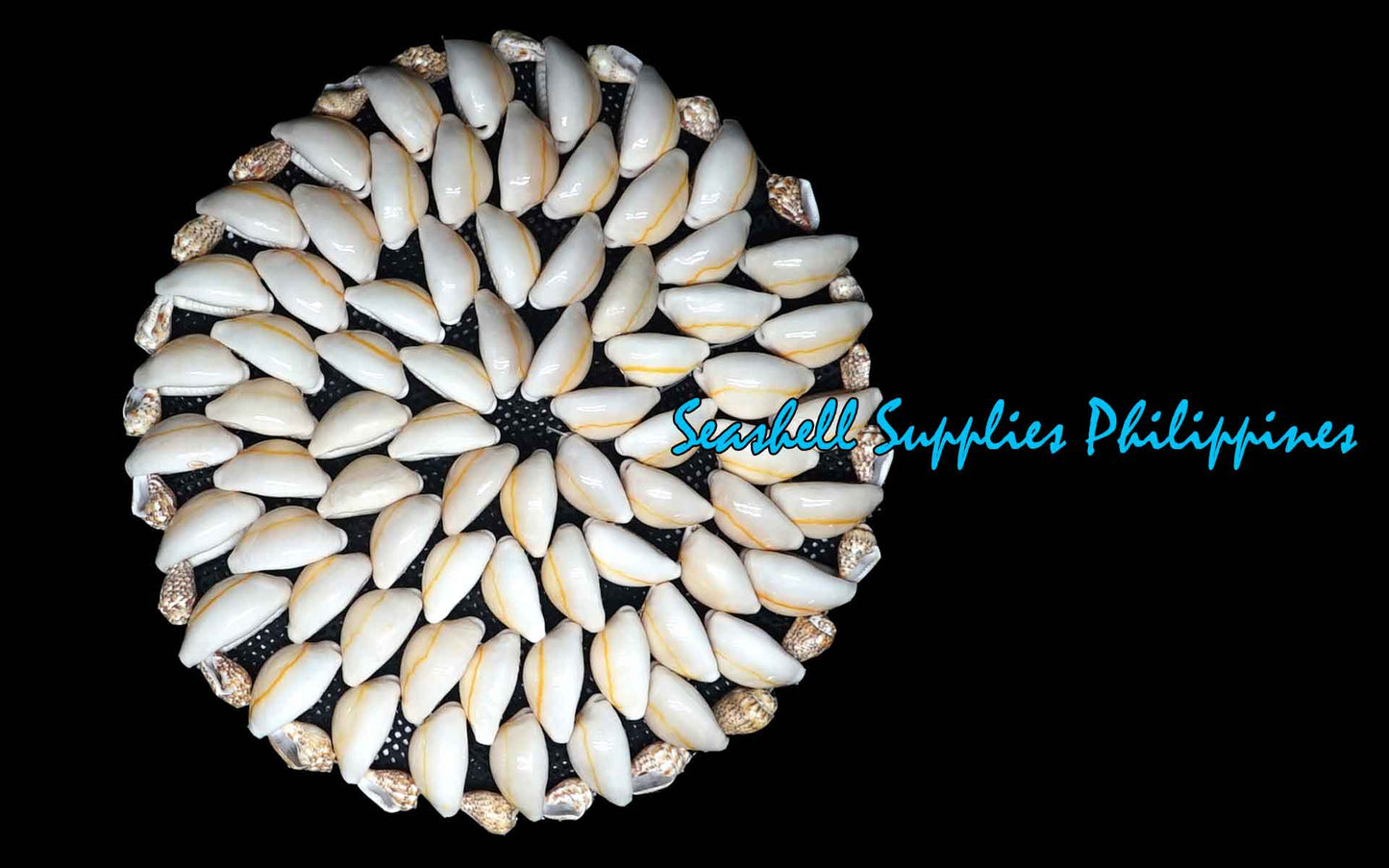 Coaster Made of Cowry Shells Design