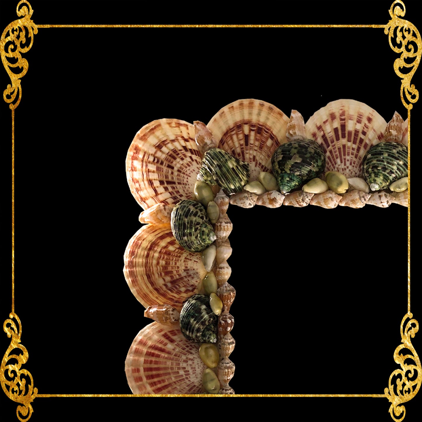 Seashell Mirror Frame | Macarense With Turbo Green