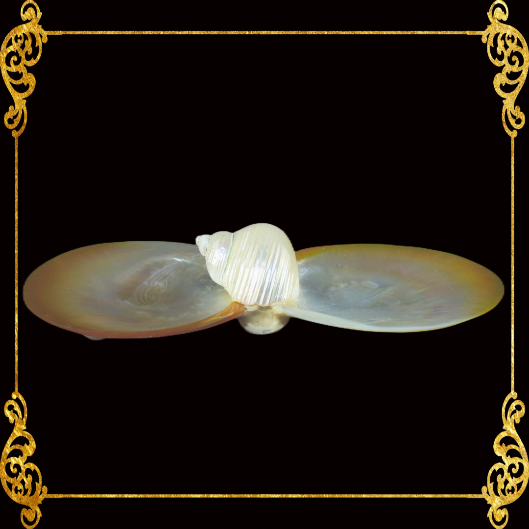 Mother of Pearl Double Dish & Trinket Tray | Coastal Decor