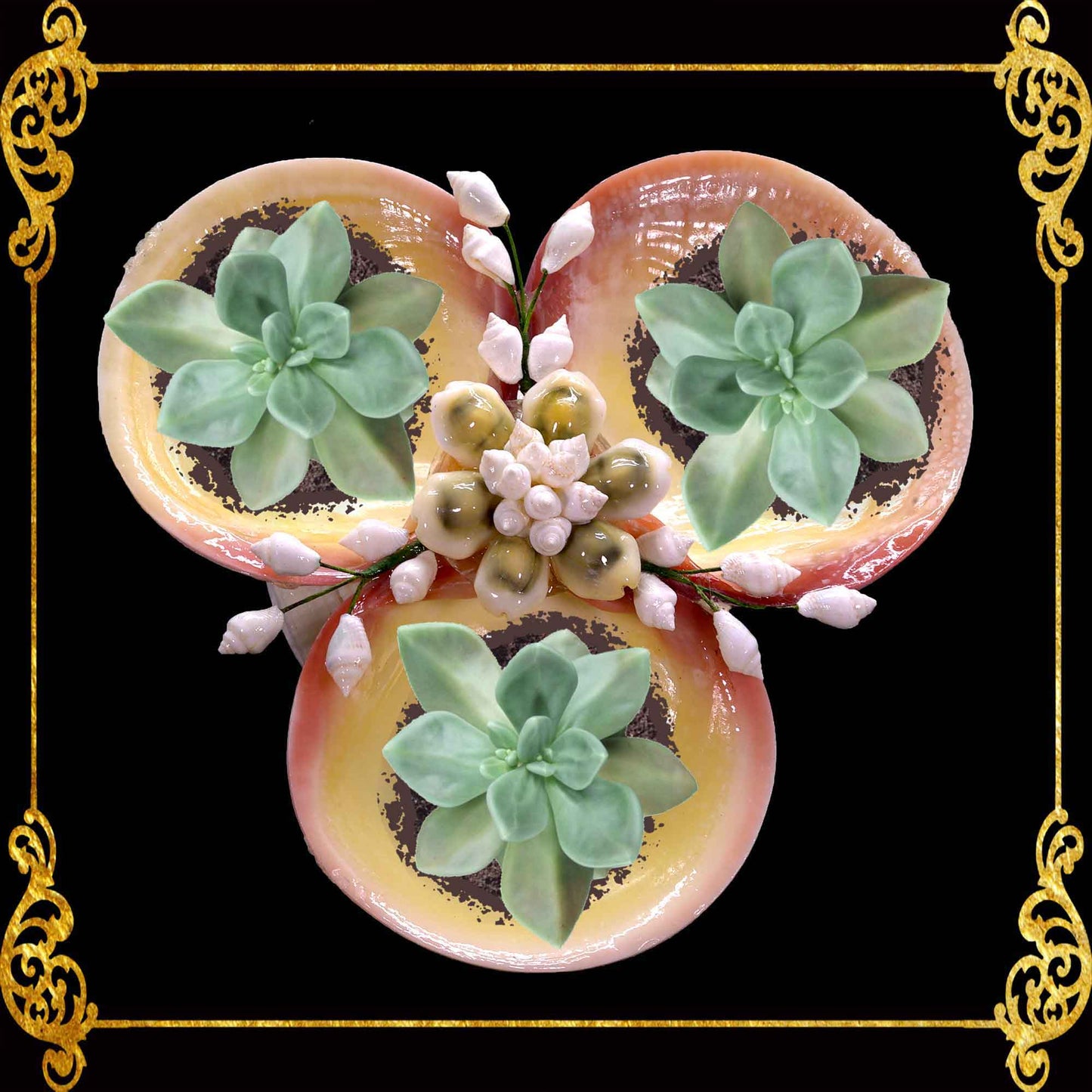 Codakia Tigerina Shell | Three-Shell Soap Dish & Jewelry Holder