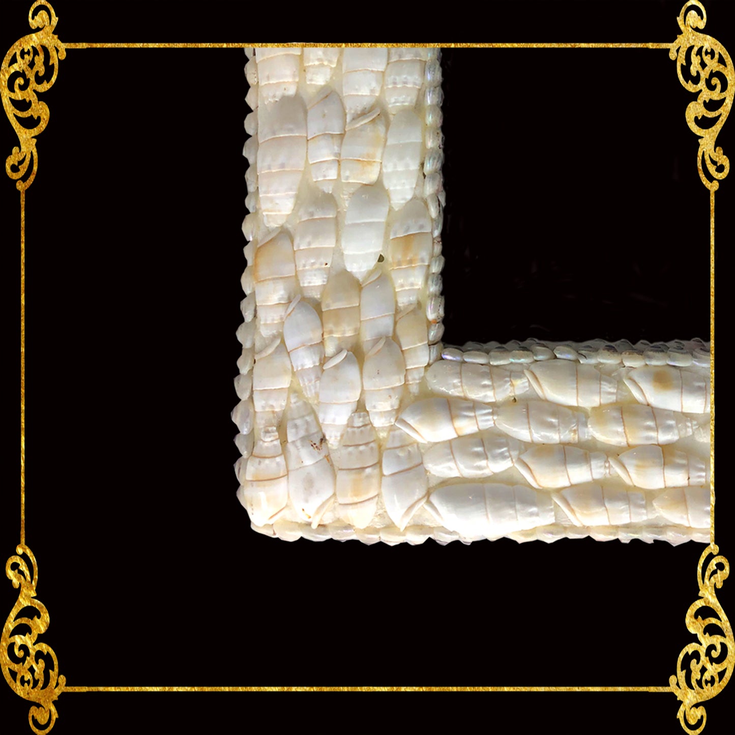 Seashell Picture Frame 5