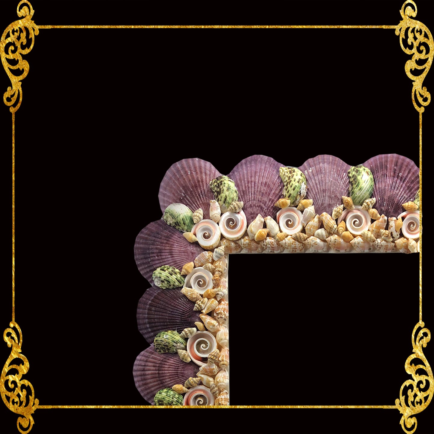 Seashell Picture Frame Pecten