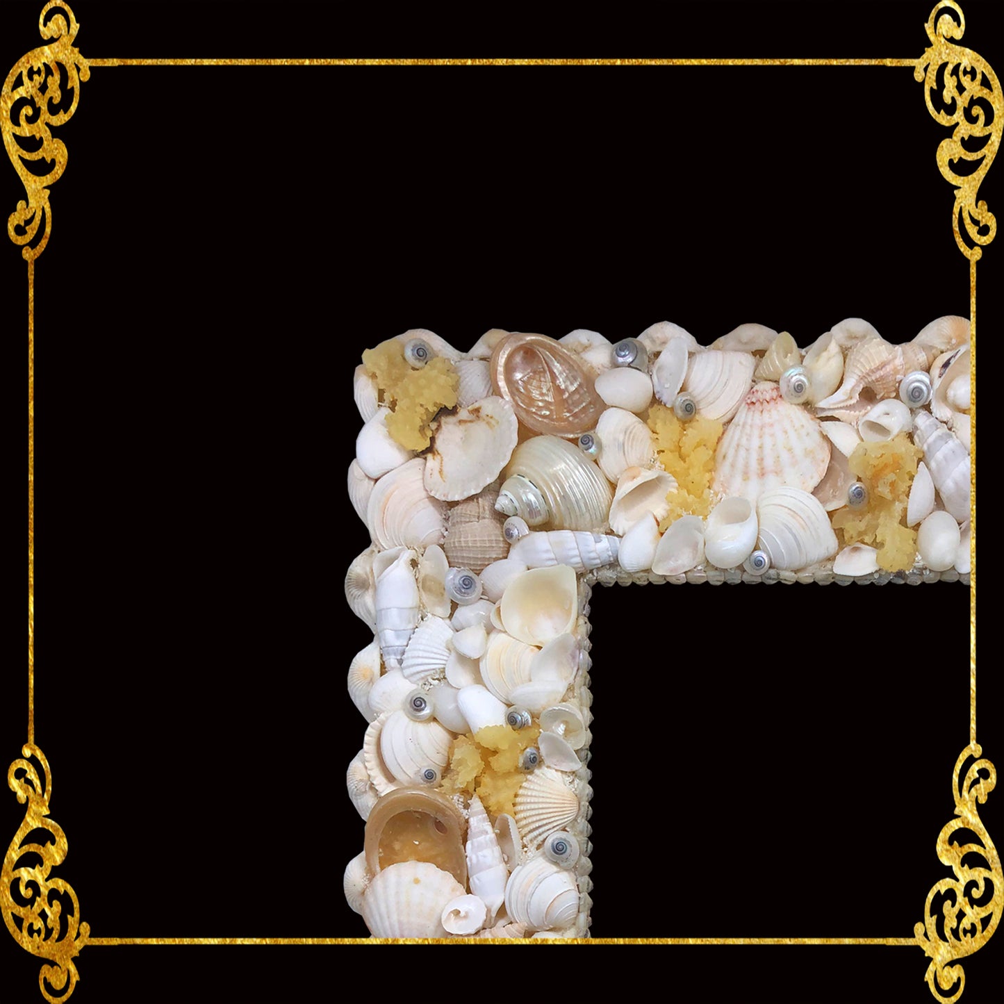 Seashell Picture Frame 9