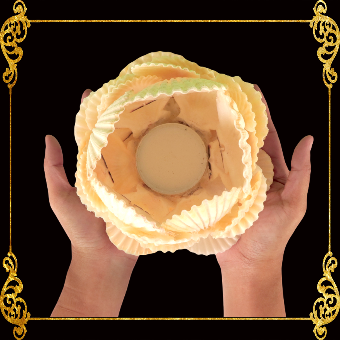 Seashell Candle Holder | Macarense Pecten & Codakia