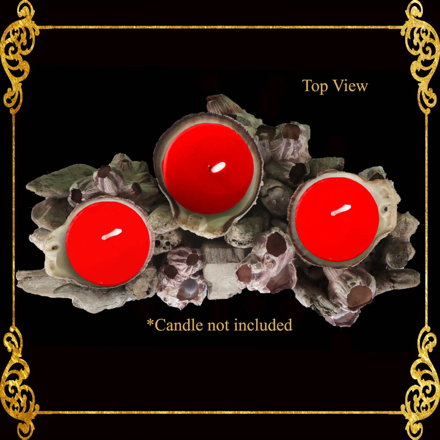 Seashell Candle Holder | Barnacle