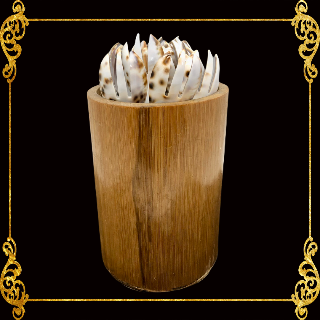 Seashell Spoon and Fork 1