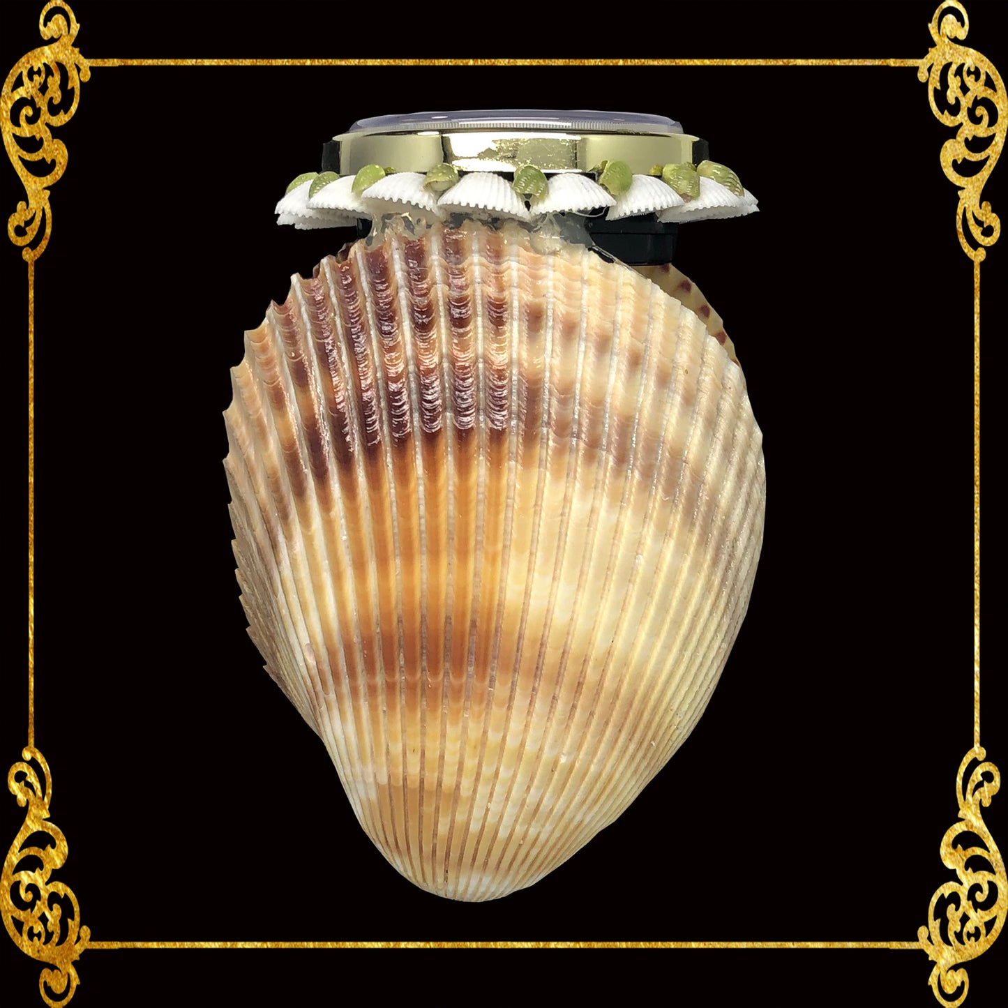 Seashell Table Top Clock | Cockle Giant Shell