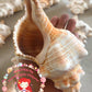 Fasciolaria | Trapezium Horse Conch | 4 - 5 Inches