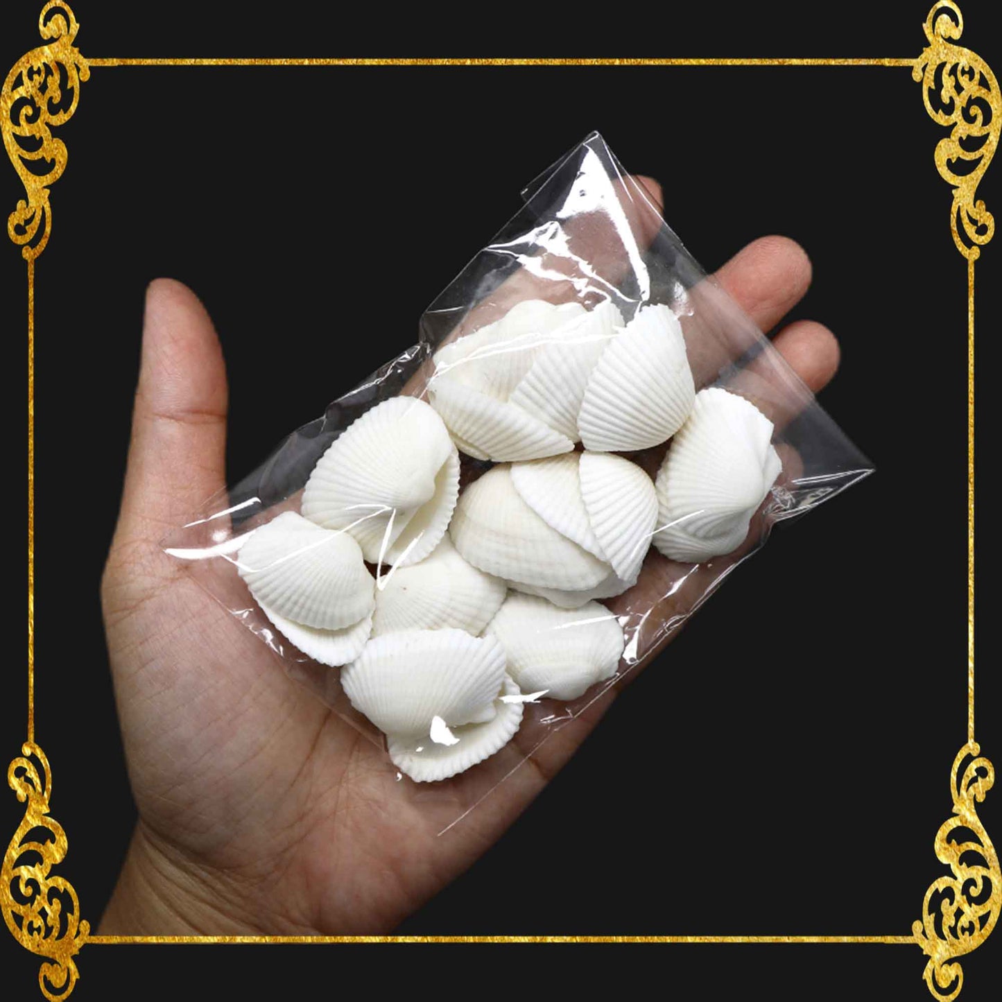Tingi Pack | Value Pack | Sea Shells