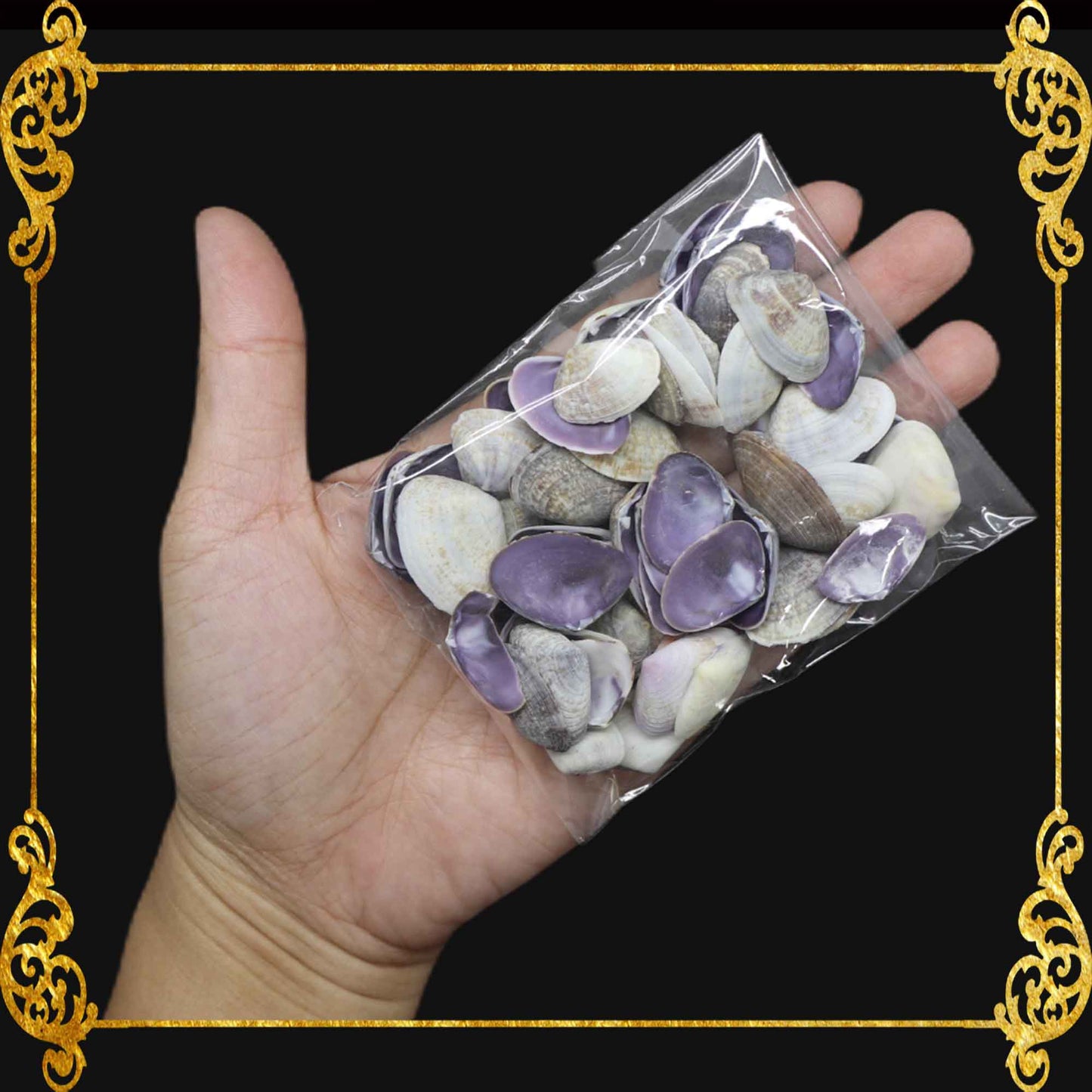 Tingi Pack | Value Pack | Sea Shells