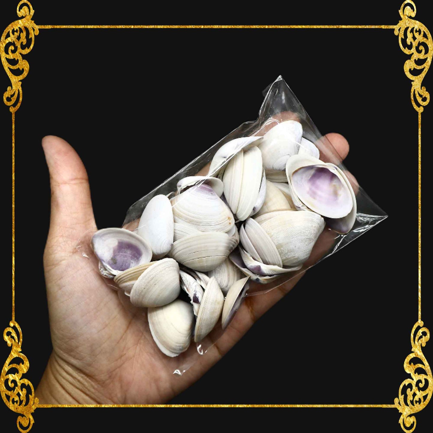 Tingi Pack | Value Pack | Sea Shells
