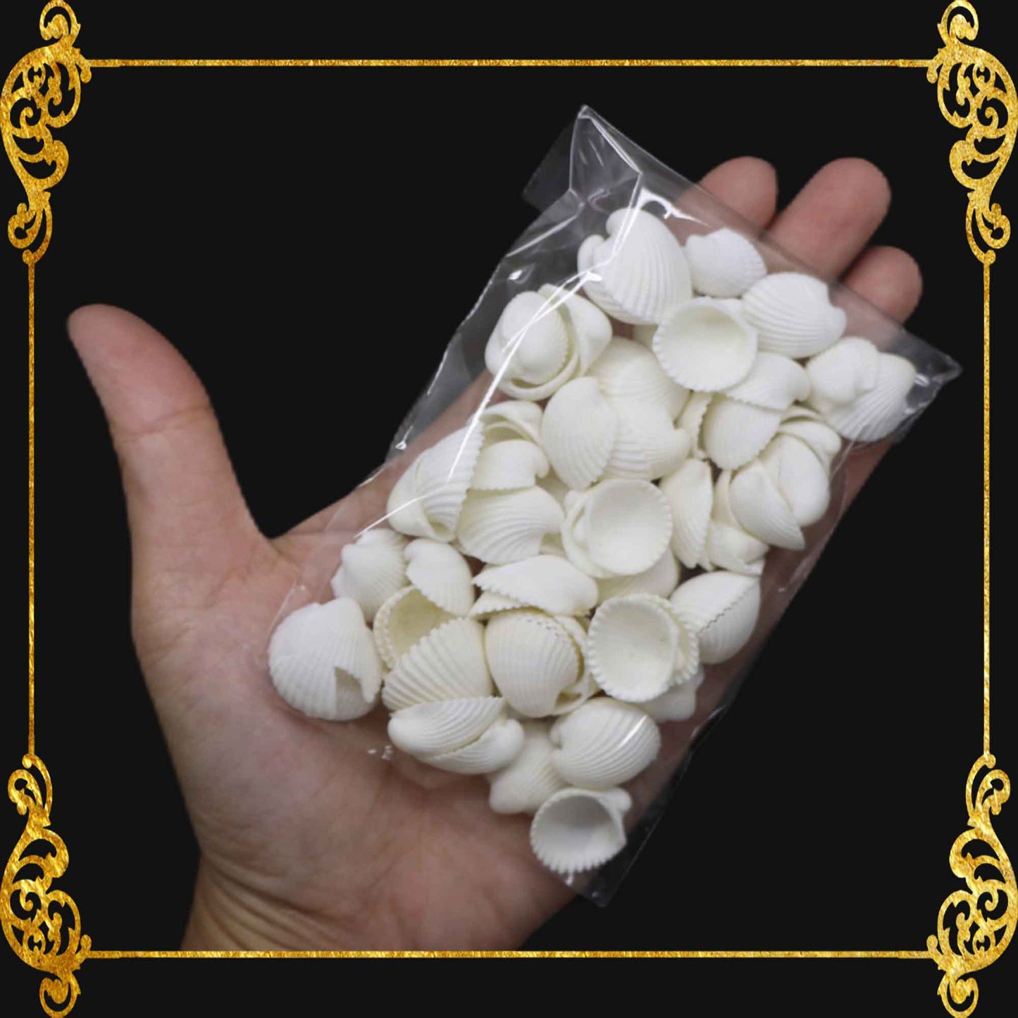 Tingi Pack | Value Pack | Sea Shells