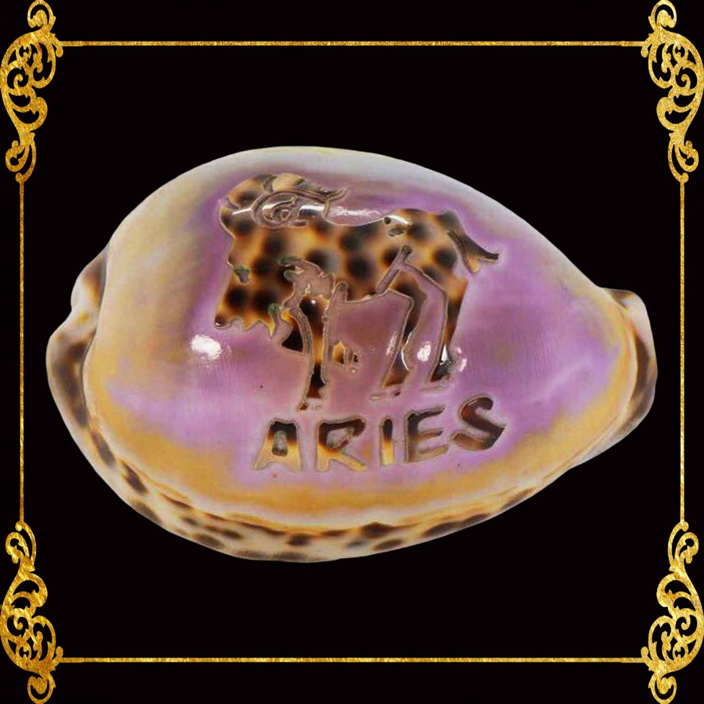 Zodiac Sign