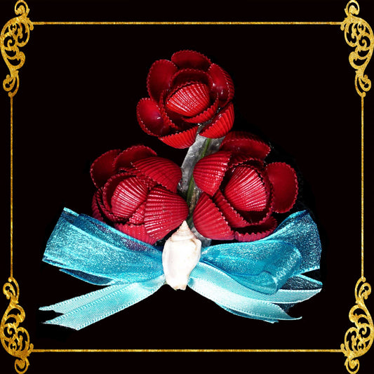 Seashell Flower π Brooch Made Of Real Cockles Shells π