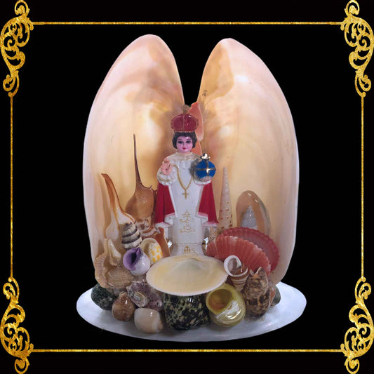 Lamp | Christian Decor | Sto. Nino inside Polished Clams | 10 Inches