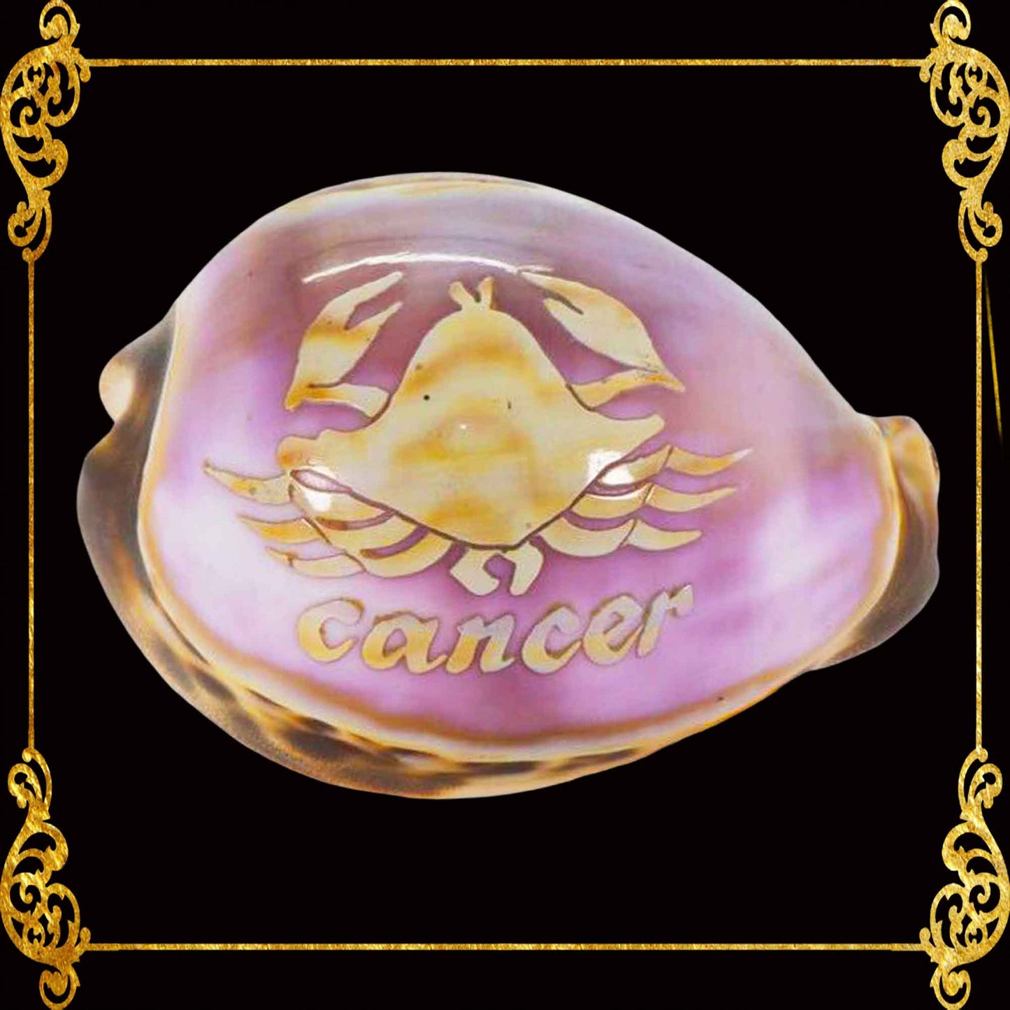 Zodiac Sign