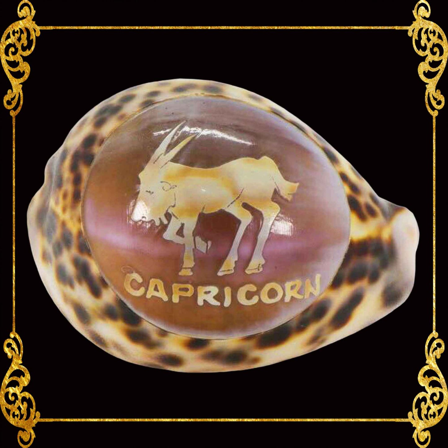 Zodiac Sign