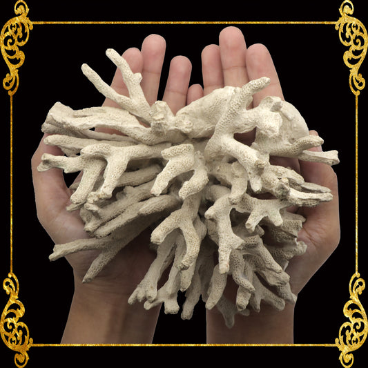 Fake Coral | Made of Resins | Large | Aquarium Decorations