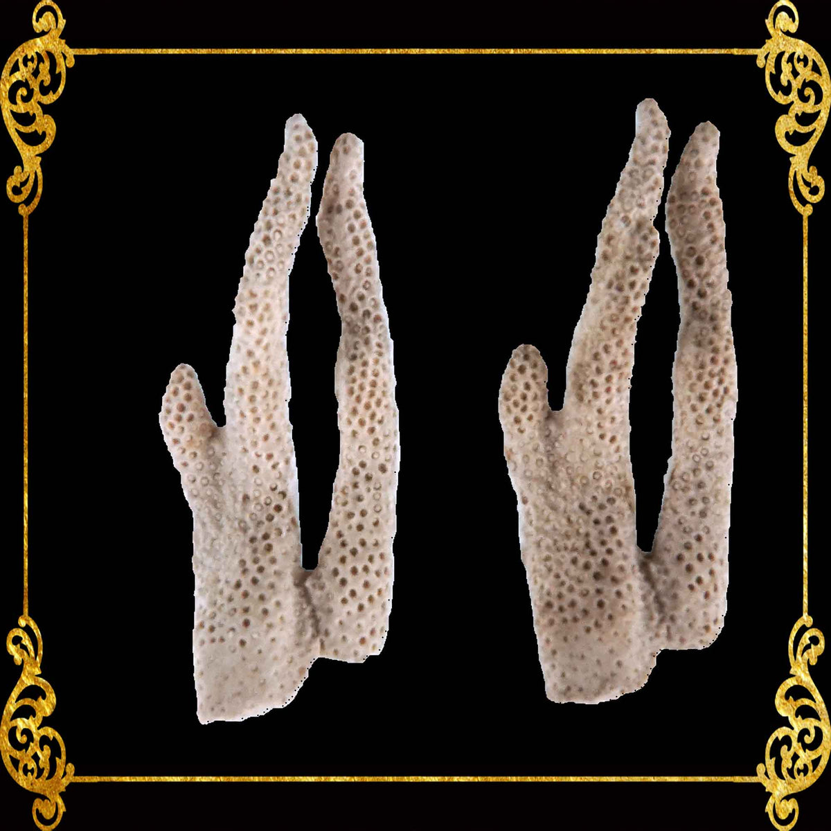 1 Piece | Fake Coral | Made of Resins | V-Shape | Aquarium Decorations