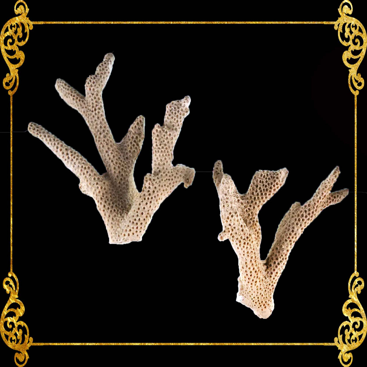 1 Piece | Fake Coral | Made of Resins | W-Shape | Aquarium Decorations