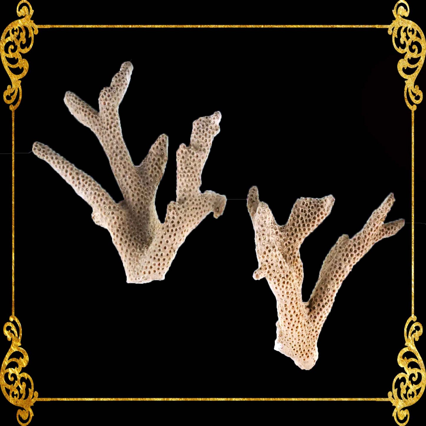1 Piece | Fake Coral | Made of Resins | W-Shape | Aquarium Decorations