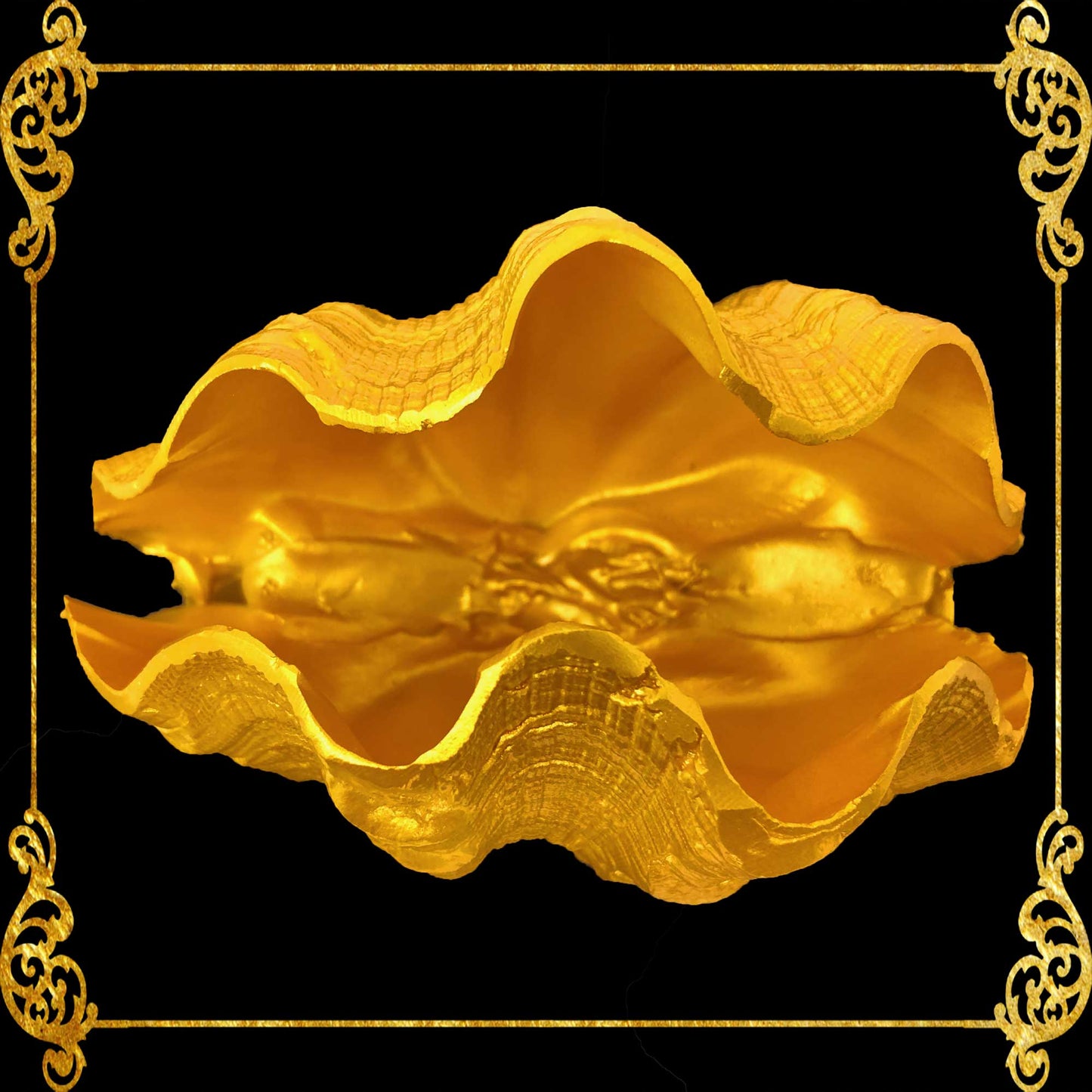 Plant Holder | Kabibe | Giant Clams Seashell | Indoor Flower Plant Pottery