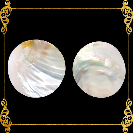 Pearl Clam | White Iridescent | Kabibe Round Polished | 3 .5 Inches