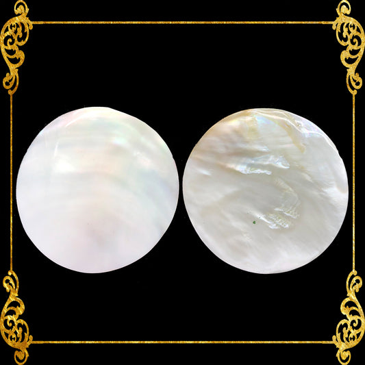 Pearl Clam | White Iridescent | Kabibe Round Polished | 4 Inches