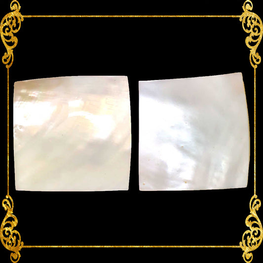 Pearl Clam | White Iridescent | Hyriopsis Schlegelii Shell Square | 2 x 2 Inches