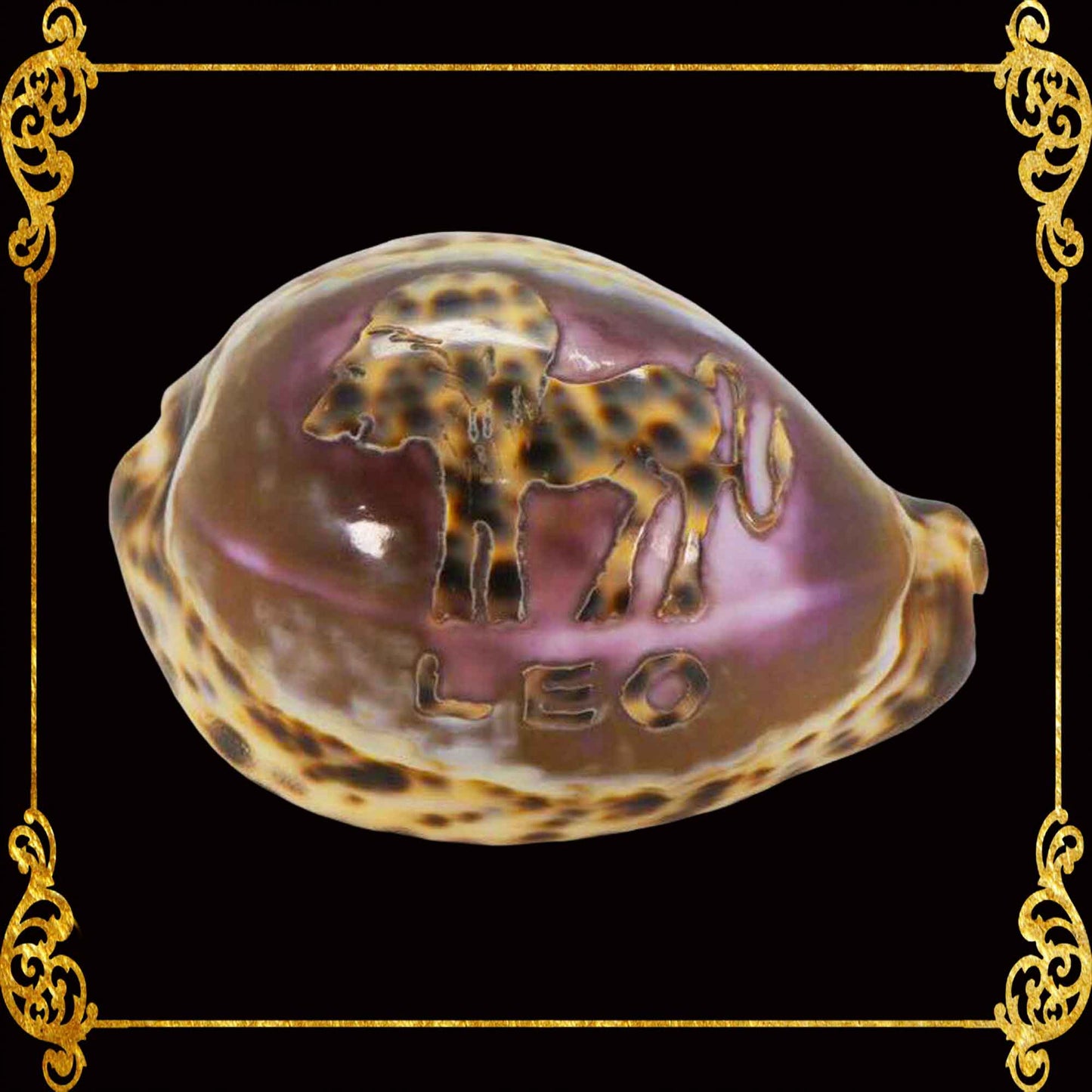Zodiac Sign