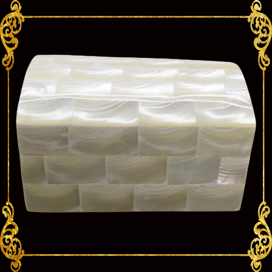 Jewelry Box | Troca Shell | Curve Top | Xs