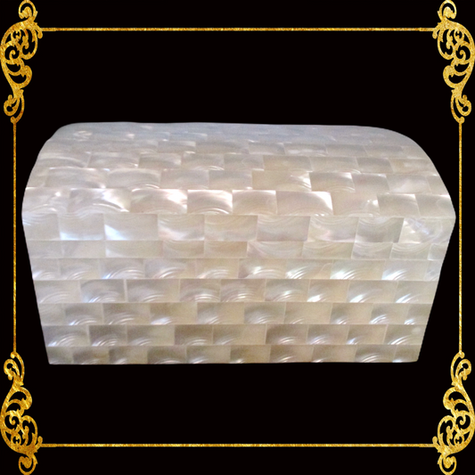 Jewelry Box | Troca Shell | Curve Top | Xlarge