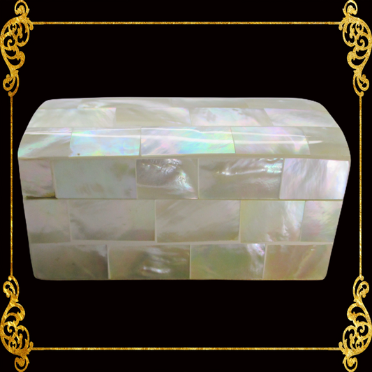 Jewelry Box | White Shell | Curve Top | Xs