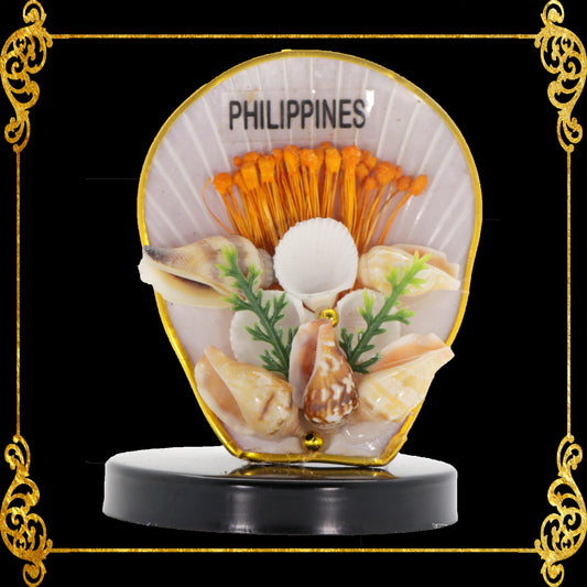 Shell Ref Magnets | Assorted Shells in Capiz