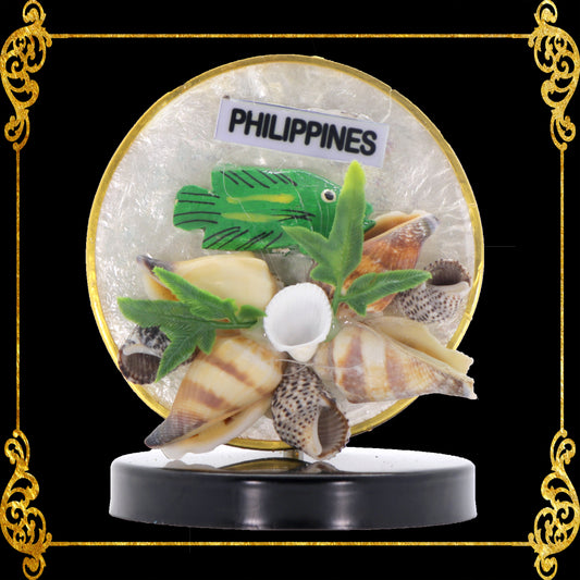 Shell Ref Magnets | Assorted Shells in Round Capiz