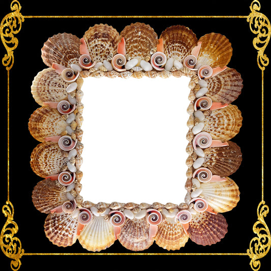 Seashell Mirror Frame | Assorted Shell Radiola Clams