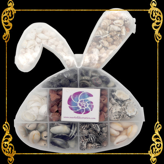 Seashell Bead Set in Bunny Shape Plastic Organizer