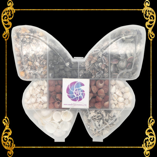 Seashell Bead Set in Butterfly Shape Plastic Organizer