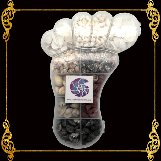 Seashell Bead Set in Baby Foot Shape Plastic Organizer
