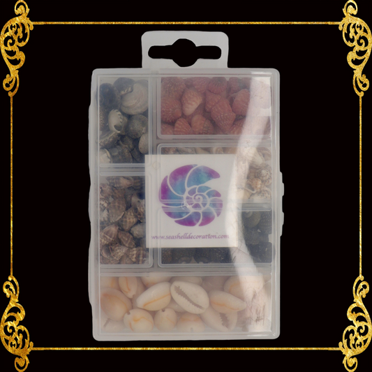 Seashell Bead Set in Rectangle Shape Plastic Organizer