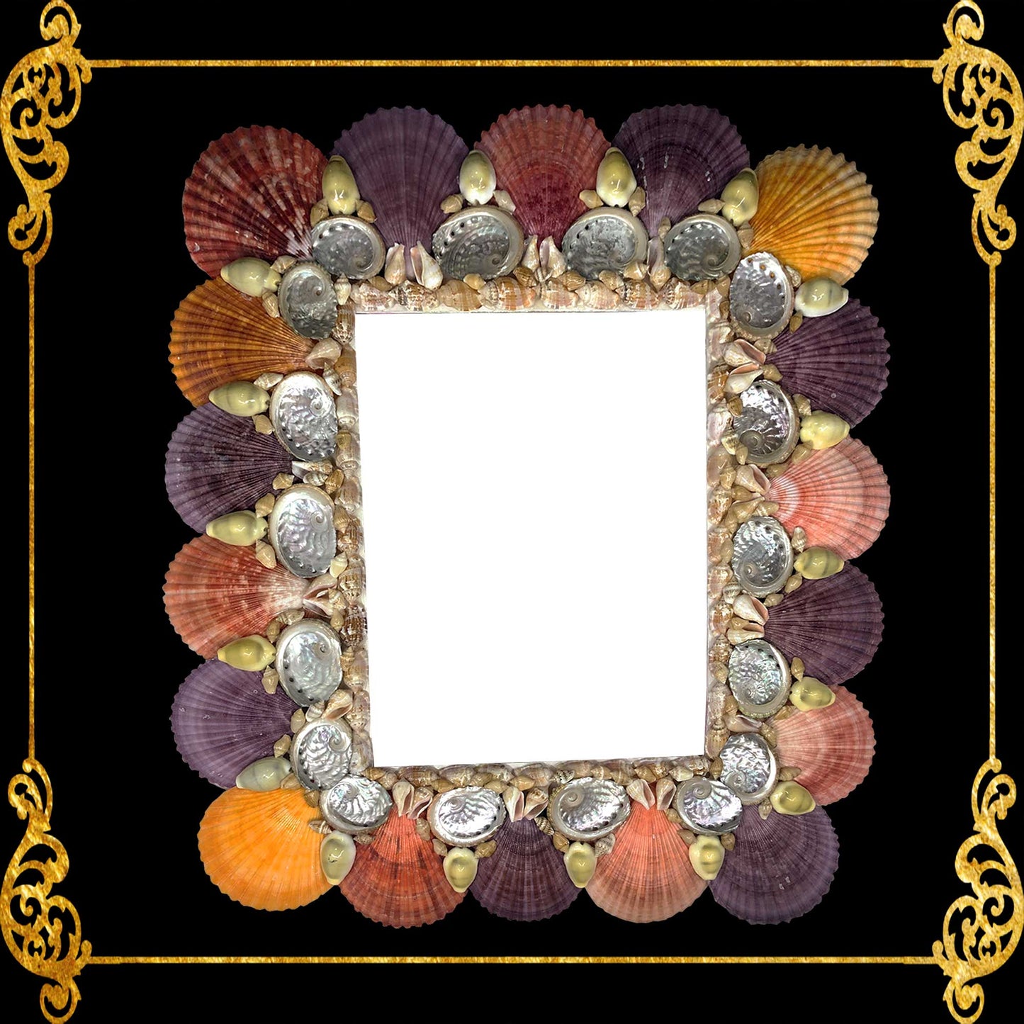 Seashell Picture Frame Pecten