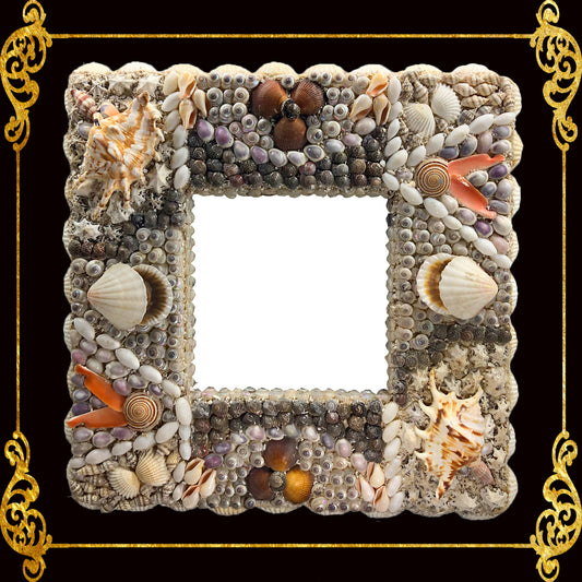 Seashell Picture Frame 10