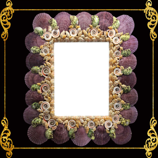 Seashell Picture Frame Pecten