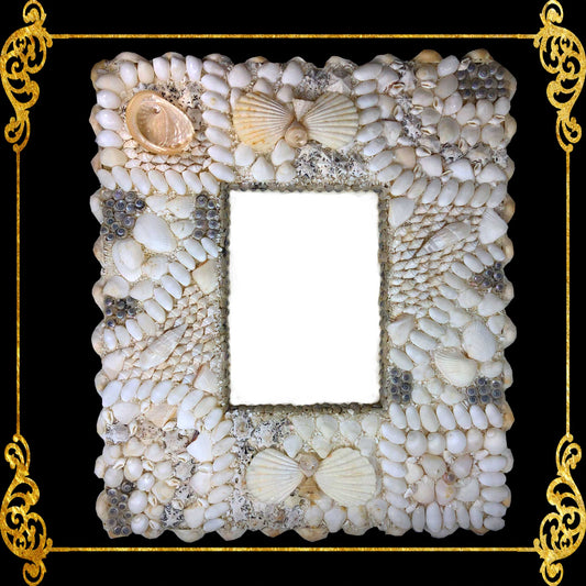 Seashell Picture Frame 3