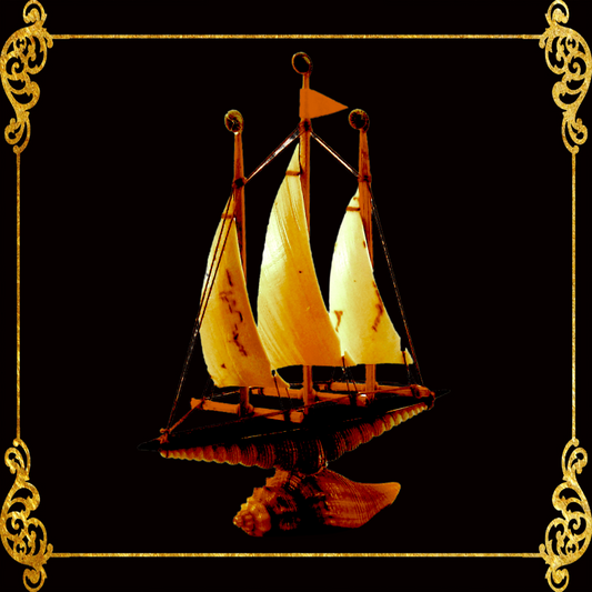 Seashell Boat | Made of Real Melo Shell