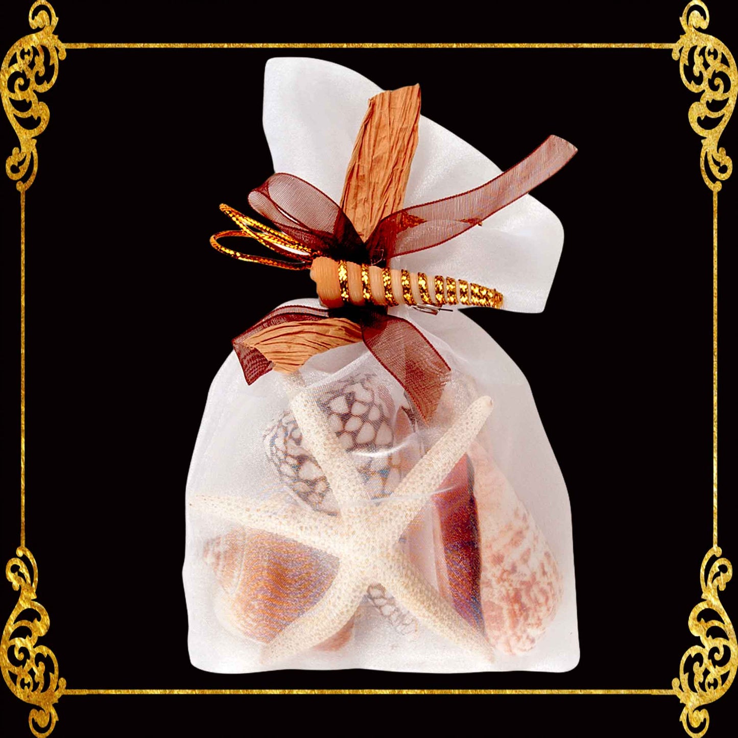 Mixed Sea Shell in Organza Bag | 125 Grams