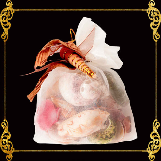 Mixed Sea Shell in Organza Bag | 250 Grams